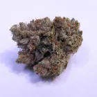 Business 2 image SILVER LAKE CAREGIVERS GROUP Pain Control Clinic in Los Angeles CA