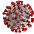 Business 1 image SKY MEDICAL SUPPLIES & EQUIPMENT Medical Equipment & Supplies in Doral FL