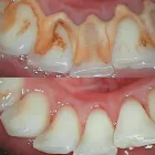 Business 11 image SMILE LA Pediatric Dentist in Los Angeles CA