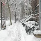Business 5 image SNOW REMOVAL SERVICES DENVER Snow Removal Service in Denver CO