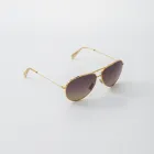 Business 2 image SOLSTICE SUNGLASSES in Orlando FL