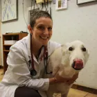 Business 4 image SOUTH KENDALL ANIMAL HOSPITAL Veterinary Pharmacy in Miami FL