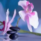 Business 5 image SPA ISABELLA EUROPEAN MASSAGE Weight Loss Specialists in San Diego CA