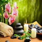 Business 10 image SPA ISABELLA EUROPEAN MASSAGE Weight Loss Specialists in San Diego CA