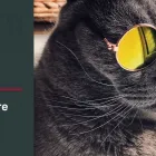 Business 7 image SPARXOO Website Developer in Tampa FL