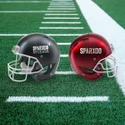 Business 8 image SPARXOO Website Developer in Tampa FL