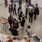 Business 11 image SPARXOO Website Developer in Tampa FL