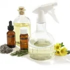 Business 1 image SPOT ON CLEAN TEAM in Miami Beach FL