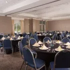 Business 6 image SPRINGHILL SUITES BY MARRIOTT ORLANDO AIRPORT in Orlando FL