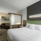 Business 6 image SPRINGHILL SUITES BY MARRIOTT TAMPA NORTH/I-75 TAMPA PALMS Tampa Spring Hill Suites in Tampa FL