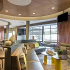 Business 19 image SPRINGHILL SUITES BY MARRIOTT TAMPA NORTH/I-75 TAMPA PALMS Tampa Spring Hill Suites in Tampa FL