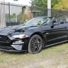Business 8 image STANDARD MOTORS INC Used Truck Dealers in Miami FL