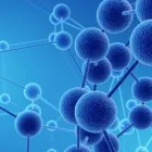 Business 2 image STEM CELL THERAPY AND PRP INJECTIONS Clinics in New York NY