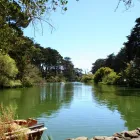 Business 2 image STOW LAKE BOATHOUSE in San Francisco CA