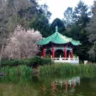 Business 3 image STOW LAKE BOATHOUSE in San Francisco CA