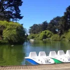 Business 8 image STOW LAKE BOATHOUSE in San Francisco CA