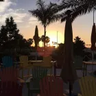 Business 2 image SUNRISE AUTO DETAILING INC. Window Cleaning Service in Ocoee FL