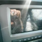 Business 8 image SUNRISE PAINT & BODY SHOP, INC. Automobile Body Repairing & Painting in Miami FL