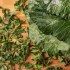 Business 9 image SUNSHINE MEAT MARKET Meat Markets in Miami Gardens FL