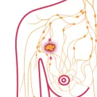 Business 3 image SURGERY GROUP OF LOS ANGELES Physicians & Surgeons in Los Angeles CA