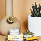 Business 1 image SWEET FLOWER - DTLA DOWNTOWN LOS ANGELES CANNABIS DISPENSARY Cannabis Store in Los Angeles CA