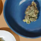 Business 7 image SWEET FLOWER - DTLA DOWNTOWN LOS ANGELES CANNABIS DISPENSARY Cannabis Store in Los Angeles CA