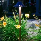 Business 13 image T. O'DONNELL LANDSCAPING in Buffalo NY