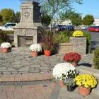 Business 16 image T. O'DONNELL LANDSCAPING in Buffalo NY