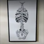 Business 2 image TAMPA BAY CHIROCARE Home Health Services in Tampa FL