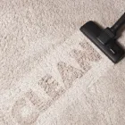 Business 4 image TAMPA CARPET CLEANING Carpet & Upholstery Cleaning in Tampa FL
