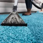 Business 5 image TAMPA CARPET CLEANING Carpet & Upholstery Cleaning in Tampa FL