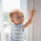 Business 2 image TAMPA IMPACT WINDOWS in Tampa FL