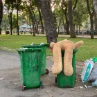 Business 3 image TAMPA JUNK REMOVAL BROTHERS Junk Removal And Hauling in Tampa FL