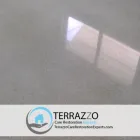 Business 1 image TERRAZZO CARE RESTORATION EXPERTS MIAMI PROS Marble Terrazzo Cleaning Service in Fort Lauderdale FL