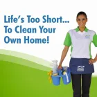 Business 1 image THE CLEANING AUTHORITY - PALM HARBOR in Palm Harbor FL