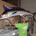 Business 4 image THE CLEANOUT KING, INC Home Cleanout Services in Saint Petersburg FL