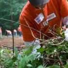 Business 8 image THE HOME DEPOT Home Appliances in Kansas City MO