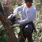 Business 2 image THE NATURAL WAY, INC. Tree Service in Englewood CO