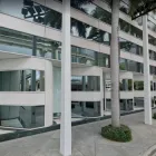 Business 1 image THE SOFFER FIRM, PLLC Personal Injury Attorneys in Miami FL