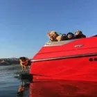 Business 2 image TILLY'S MARINE - NORCO Transportation Equipment in Norco CA