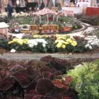 Business 6 image TIMBERLINE GARDENS LANDSCAPING INC in Wheat Ridge CO