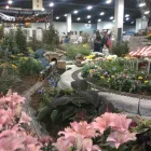 Business 7 image TIMBERLINE GARDENS LANDSCAPING INC in Wheat Ridge CO