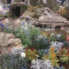 Business 8 image TIMBERLINE GARDENS LANDSCAPING INC in Wheat Ridge CO