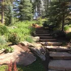 Business 11 image TIMBERLINE GARDENS LANDSCAPING INC in Wheat Ridge CO