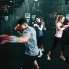 Business 2 image TITLE BOXING CLUB TAMPA CARROLLWOOD Personal Trainer in Tampa FL