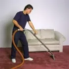 Business 3 image TLC CARPETS INC Flooring Contractors in Tampa FL