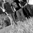 Business 5 image TODDCWILSON | PHOTOGRAPHY Wedding Photographer in Tampa FL