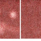 Business 1 image TOP NOTCH CARPET & UPHOLSTERY CLEANING House Cleaning in Orlando FL