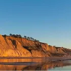 Business 1 image TORREY PINES LAW GROUP Legal Services in San Diego CA