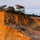 Business 3 image TORREY PINES LAW GROUP Legal Services in San Diego CA